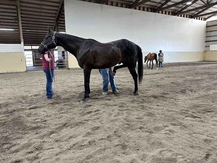 Del Oeste Equine Hospital LLC Picture 7