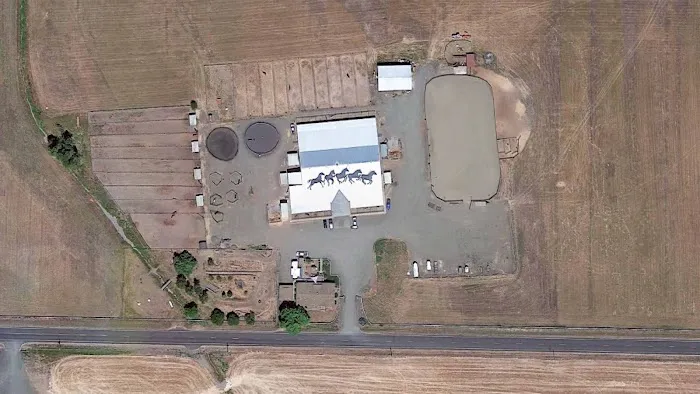Del Oeste Equine Hospital LLC Picture 8