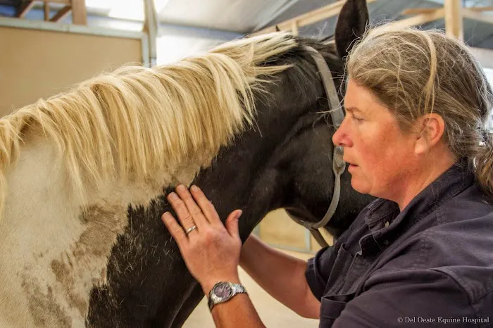 Del Oeste Equine Hospital LLC - Kathy Connell, DVM Picture 1