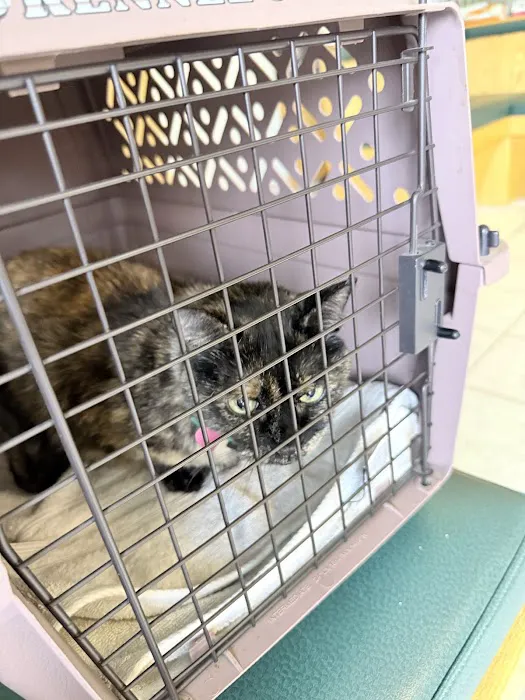 Riverbrook Animal & Eye Clinic Picture 1