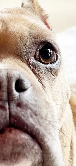 Riverbrook Animal & Eye Clinic Picture 2