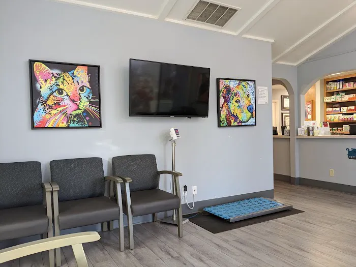Santa Clara Animal Hospital Picture 5