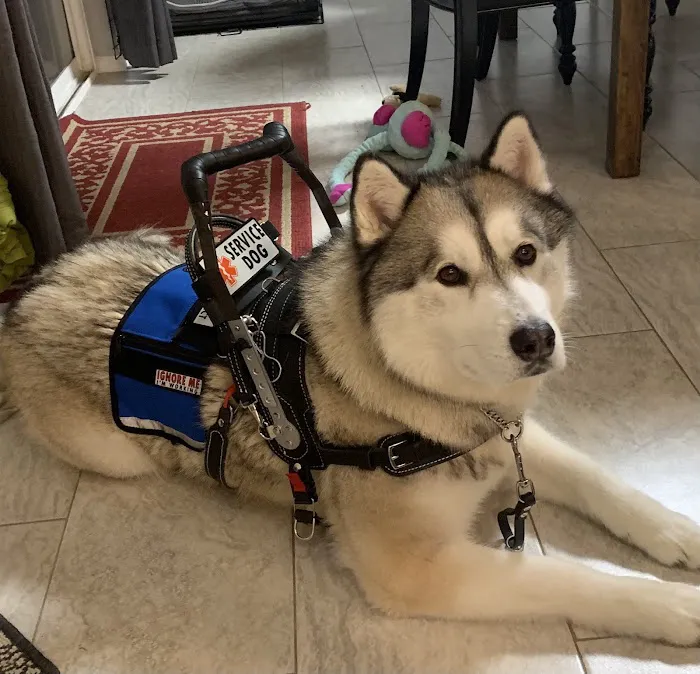 Santa Clara Animal Hospital Picture 8