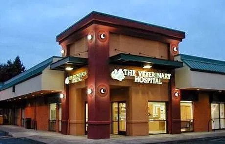 The Veterinary Hospital Picture 2