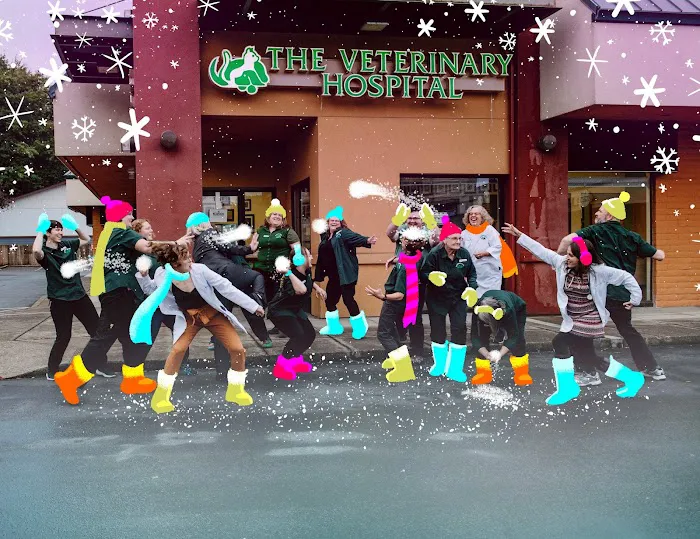 The Veterinary Hospital Picture 4