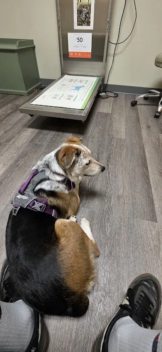 The Veterinary Hospital Picture 10