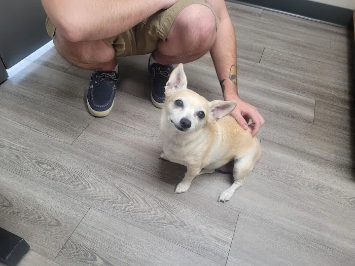 Echo Hollow Veterinary Hospital and Urgent Care Picture 9