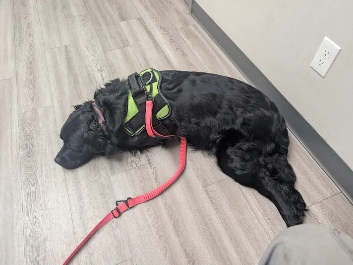 Echo Hollow Veterinary Hospital and Urgent Care Picture 10