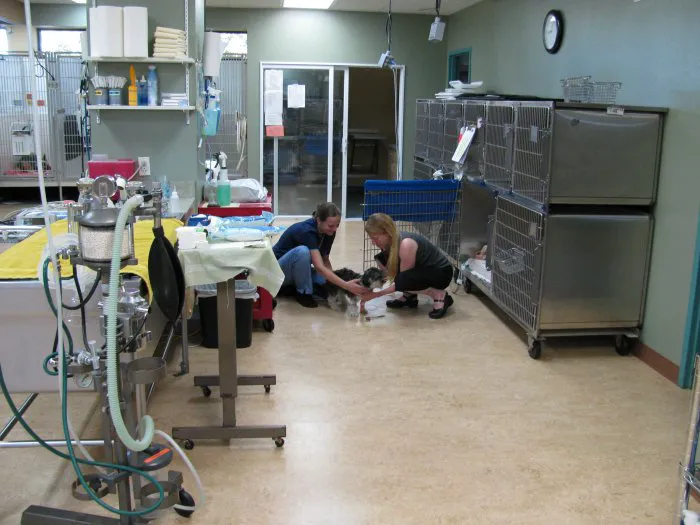 VCA Veterinary Specialists of Northern Colorado Picture 10