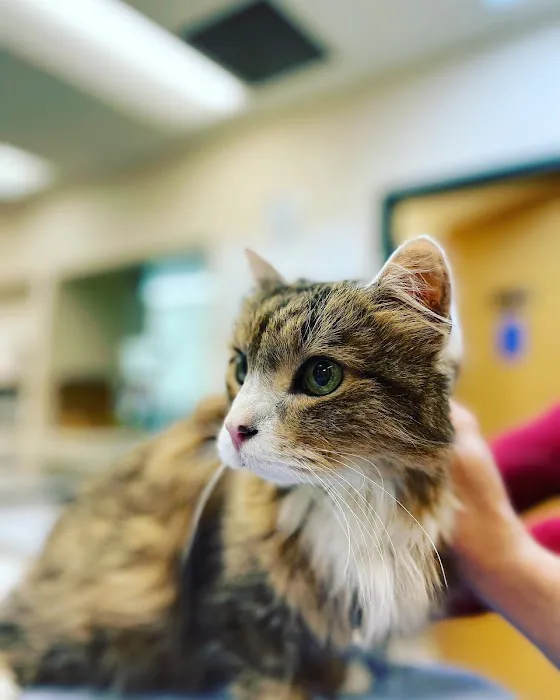 Coyote Ridge Veterinary Clinic Picture 6