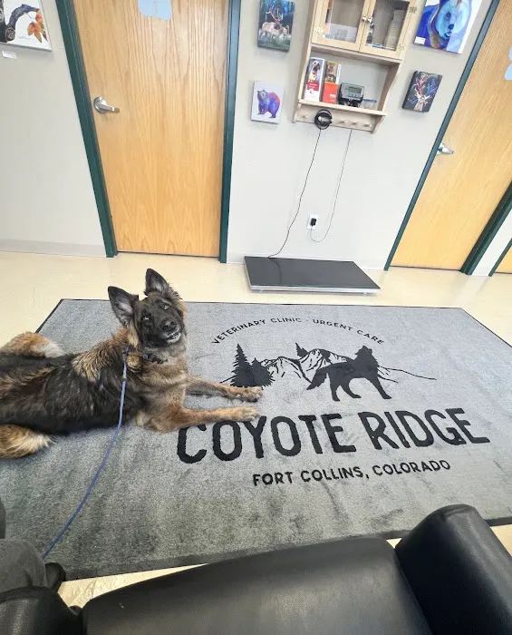 Coyote Ridge Veterinary Clinic Picture 9