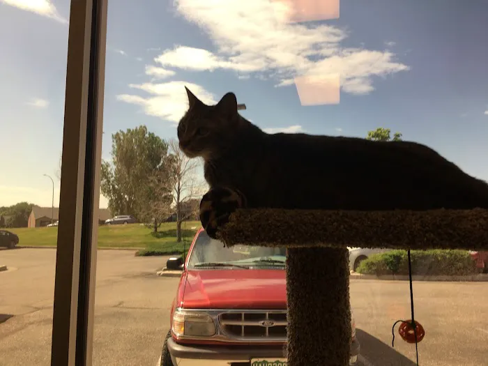 Edwards Veterinary Care Picture 1