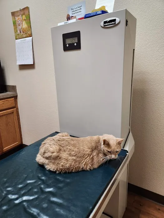Edwards Veterinary Care Picture 5