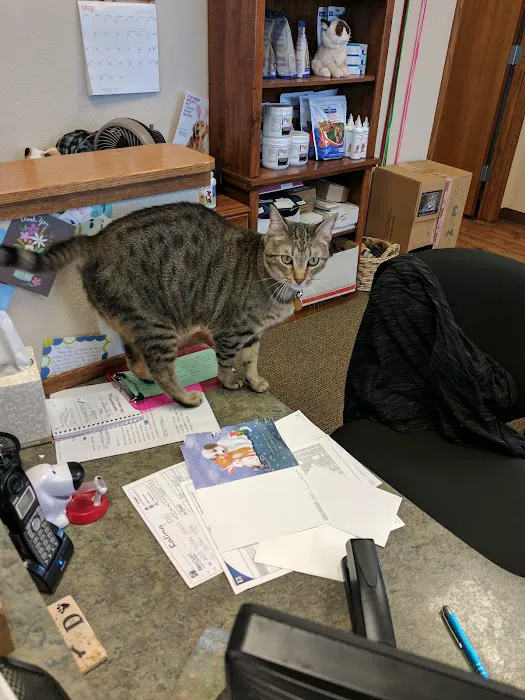 Edwards Veterinary Care Picture 4