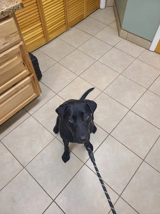 Alpine Veterinary Hospital Picture 5