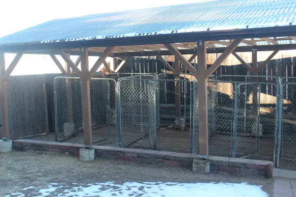 Alpine Veterinary Hospital Picture 7