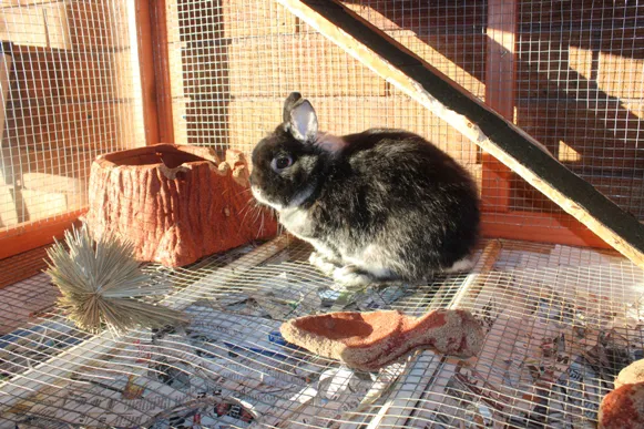 Alpine Veterinary Hospital Picture 6