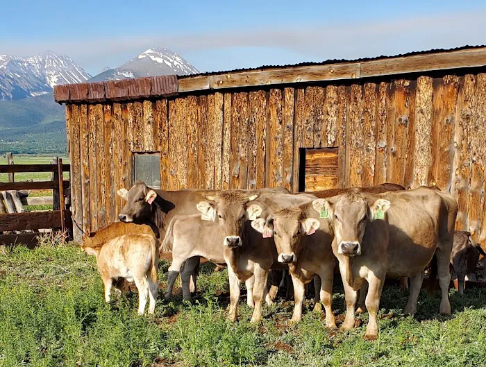 Countryside Large Animal Vet Picture 3