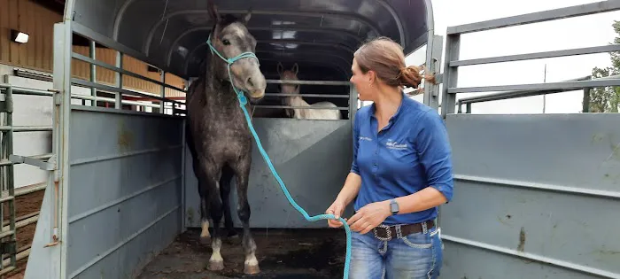 Countryside Large Animal Vet Picture 2