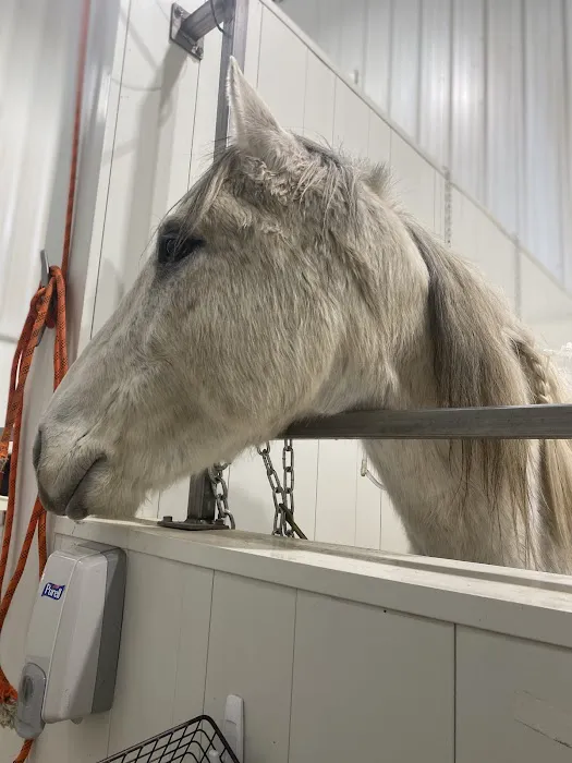 Countryside Large Animal Vet Picture 1