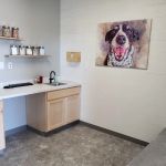 Twin Peaks Veterinary Dental & Surgery