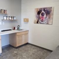 Twin Peaks Veterinary Dental & Surgery ico