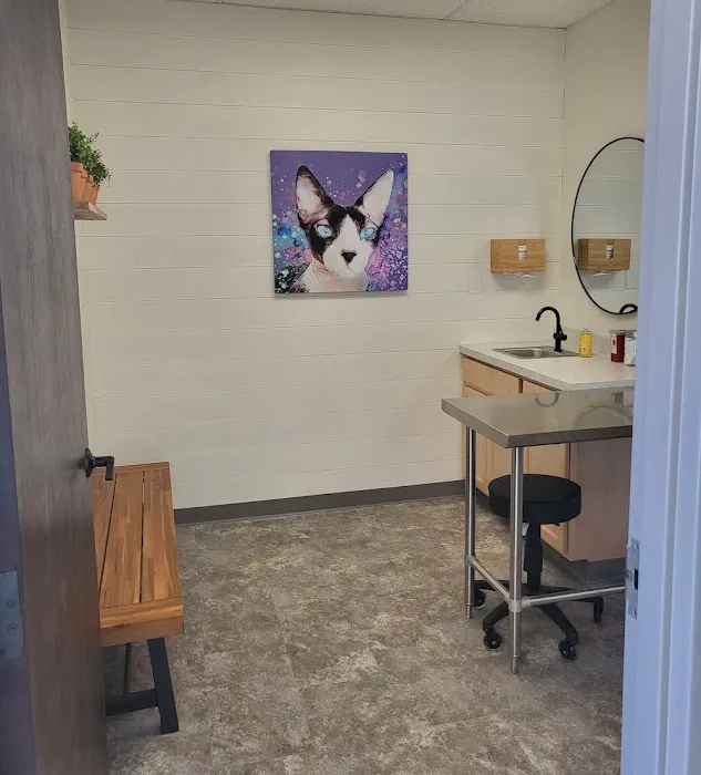 Twin Peaks Veterinary Dental & Surgery Picture 4