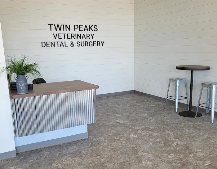 Twin Peaks Veterinary Dental & Surgery Picture 5