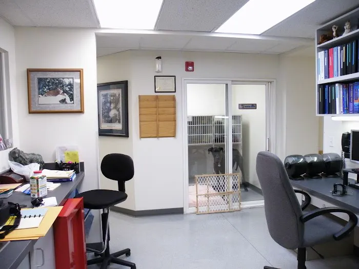 The Downing Center for Animal Pain Management Picture 1