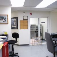 The Downing Center for Animal Pain Management ico