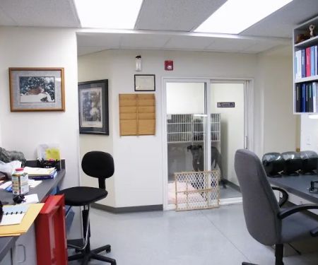 The Downing Center for Animal Pain Management