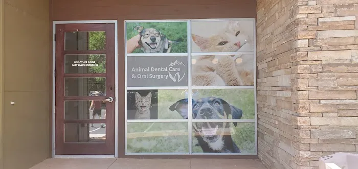 Animal Dental Care & Oral Surgery Picture 9