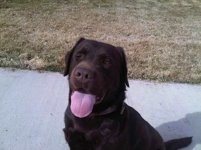 Paws of the Rockies Animal Hospital Picture 5