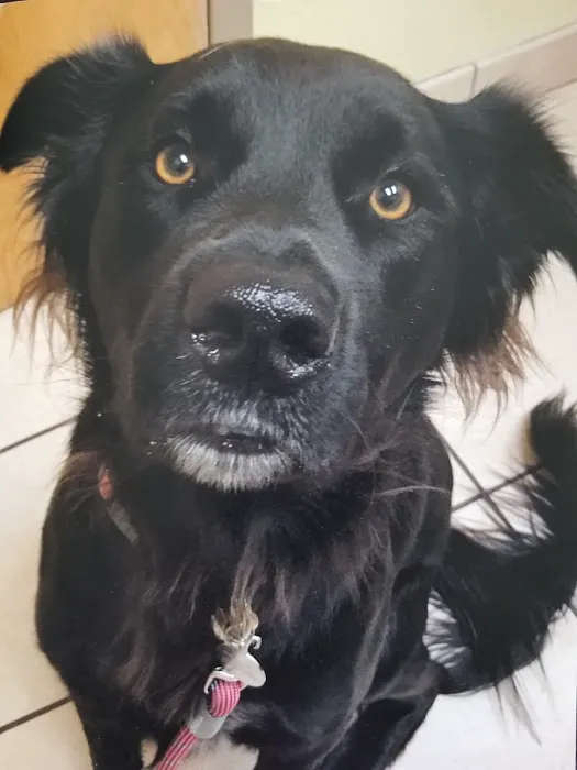 Paws of the Rockies Animal Hospital Picture 10