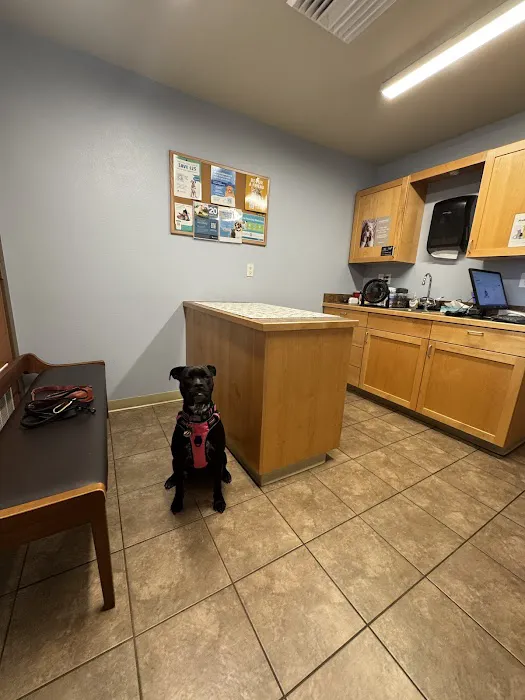 Valley View Animal Hospital Picture 1