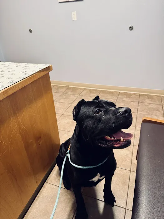 Valley View Animal Hospital Picture 4