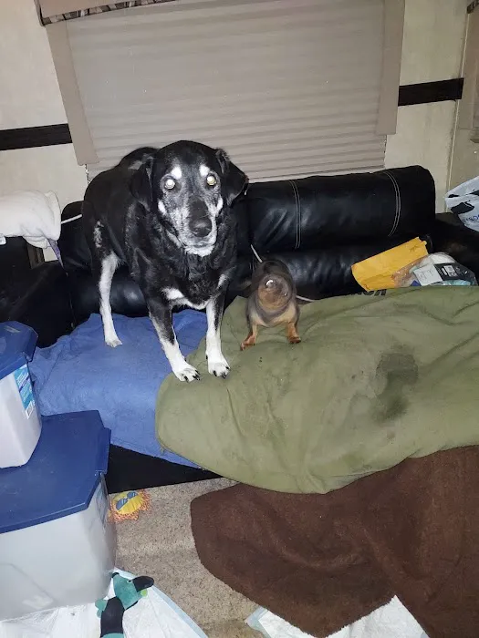 Front Porch Animal Clinic Picture 5