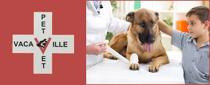 Vacaville Pet Vet Clinic, Inc. Picture 3