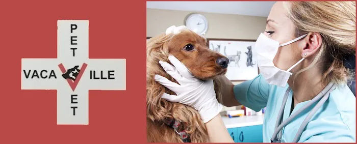 Vacaville Pet Vet Clinic, Inc. Picture 4