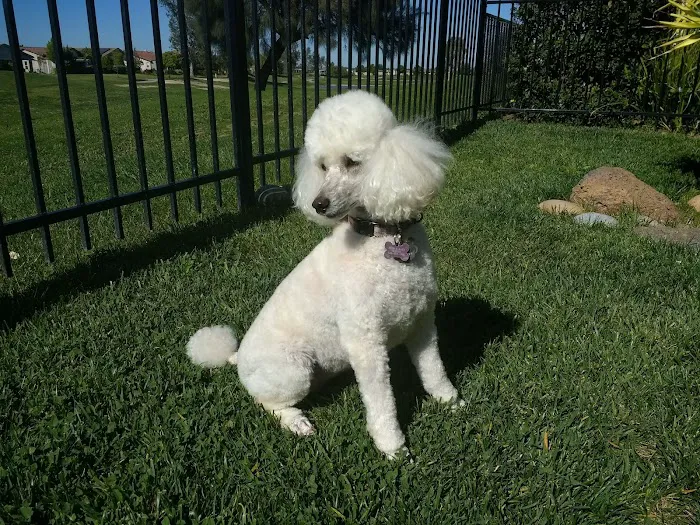 Family Pet Hospital Picture 2