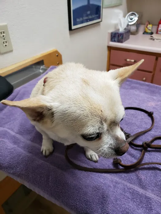 Family Pet Hospital Picture 4