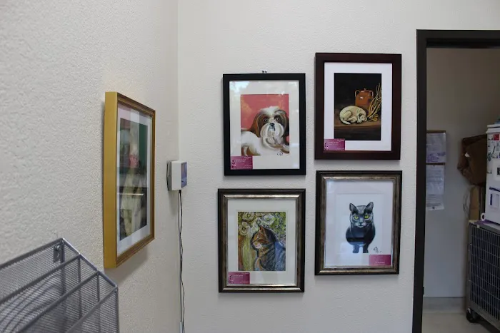 Family Pet Hospital Picture 9