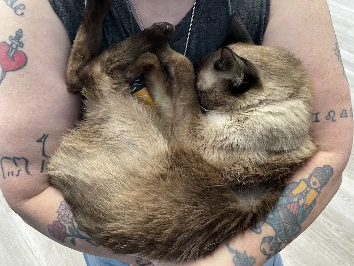 Vacaville Animal Care Center Picture 6