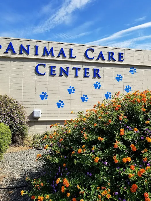 Vacaville Animal Care Center Picture 7