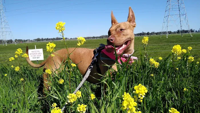 Happy Tails Animal Hospital Picture 8