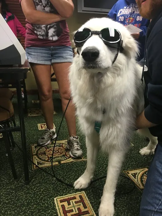 Happy Tails Animal Hospital Picture 10