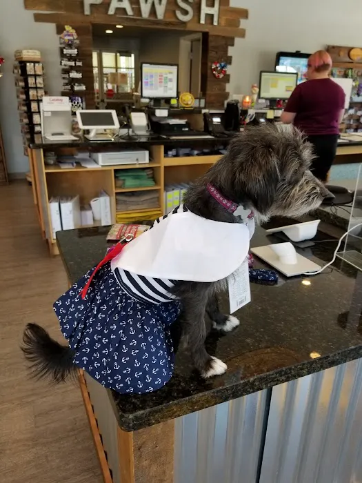Pawsh Place | Veterinary Center & Boutique Picture 6