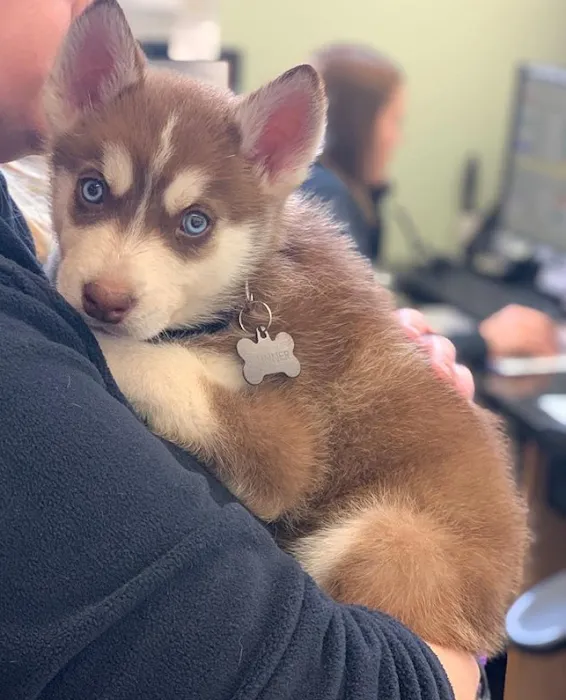 Pawsh Place | Veterinary Center & Boutique Picture 10