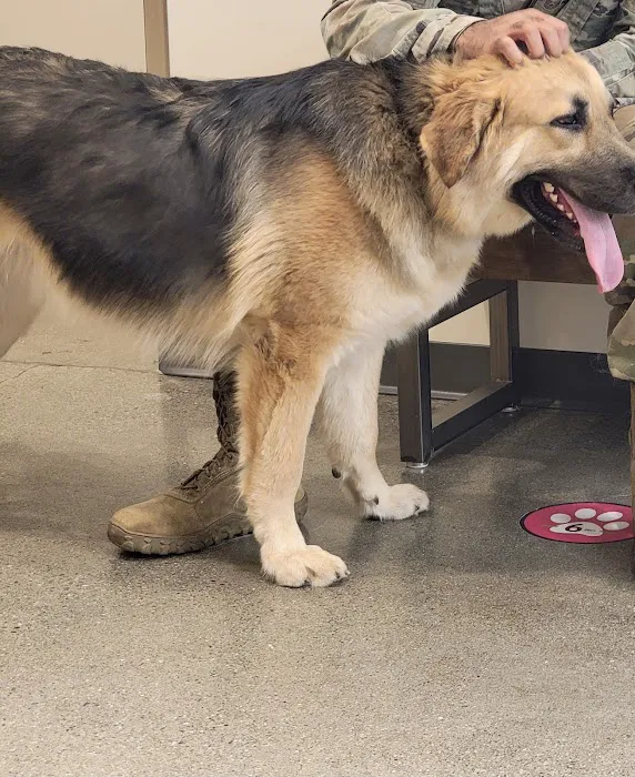 Vetco Total Care Animal Hospital Picture 5