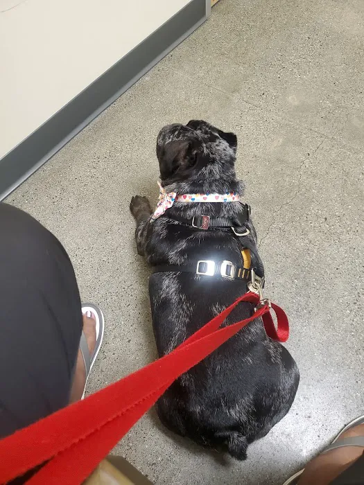Vetco Total Care Animal Hospital Picture 8